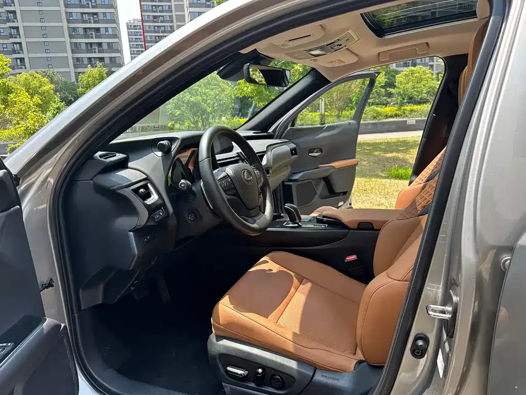 Lexus UX New Energy — фото 2