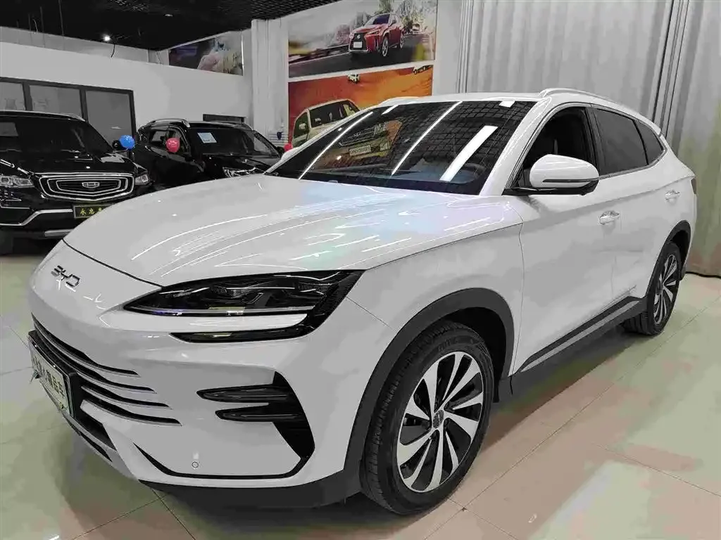 BYD PLUS New Energy — фото 1