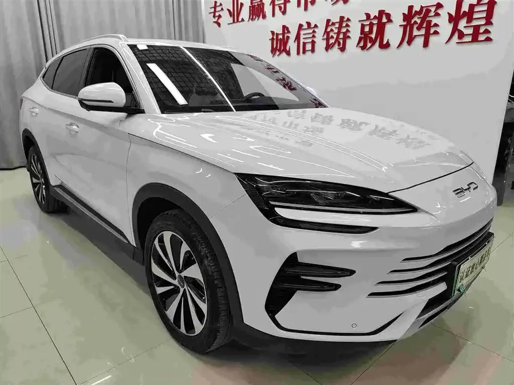 BYD PLUS New Energy — фото 3