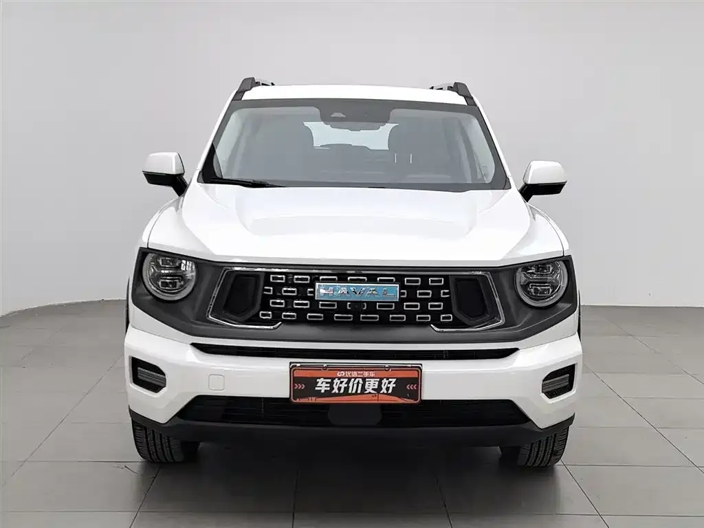 Haval H7 (Big Dog Plus) New Energy — фото 6