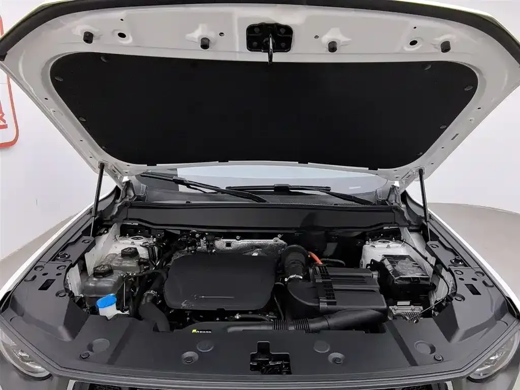 Haval H7 (Big Dog Plus) New Energy — фото 7