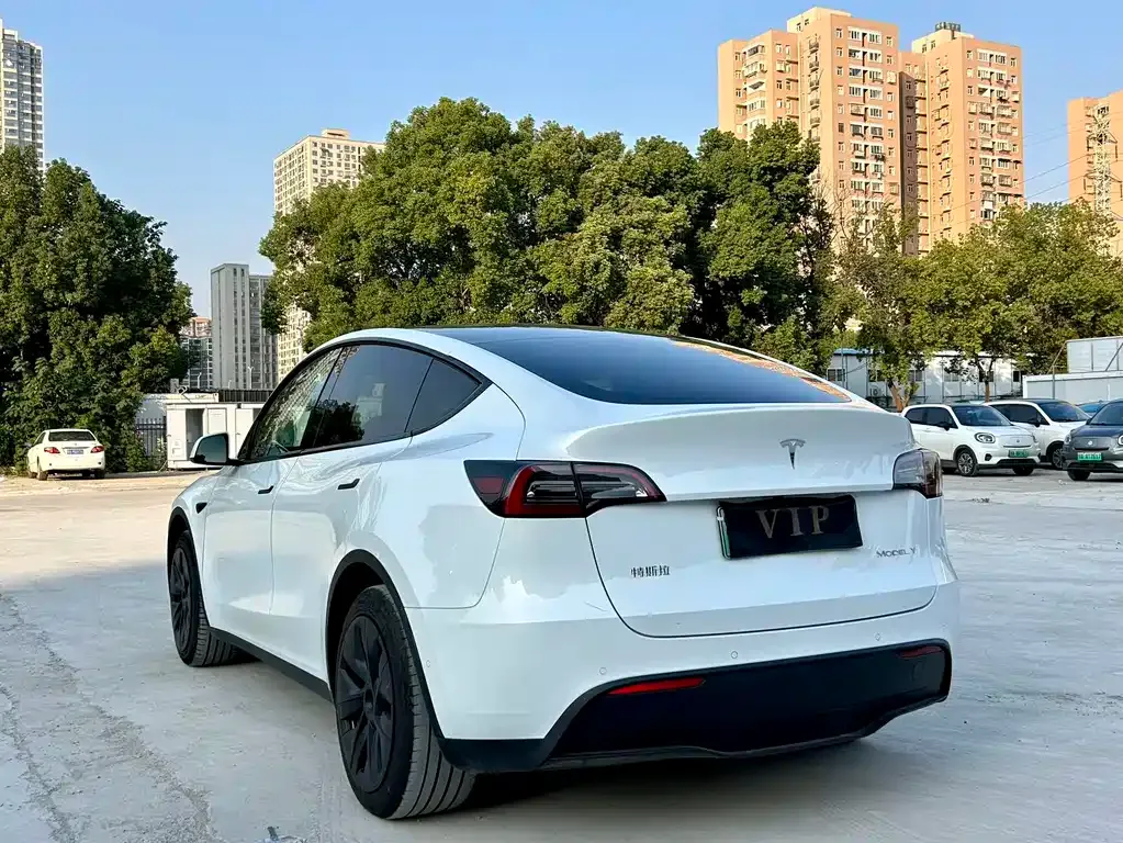 Tesla Model Y — фото 9