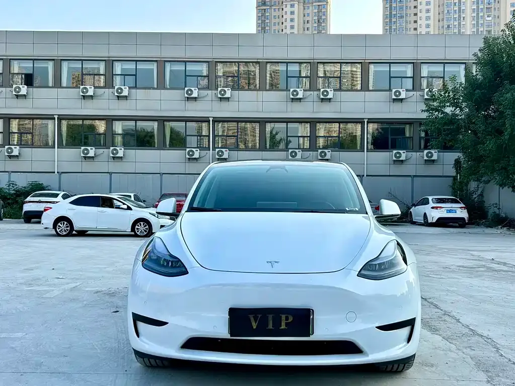 Tesla Model Y — фото 2