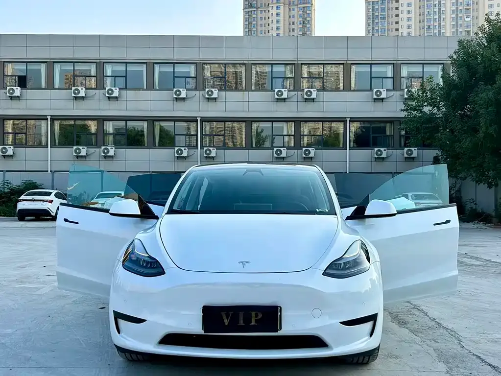 Tesla Model Y — фото 5