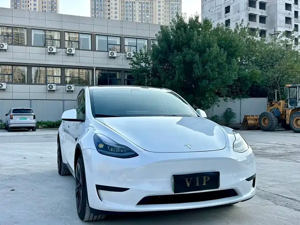 Tesla Model Y — фото 6