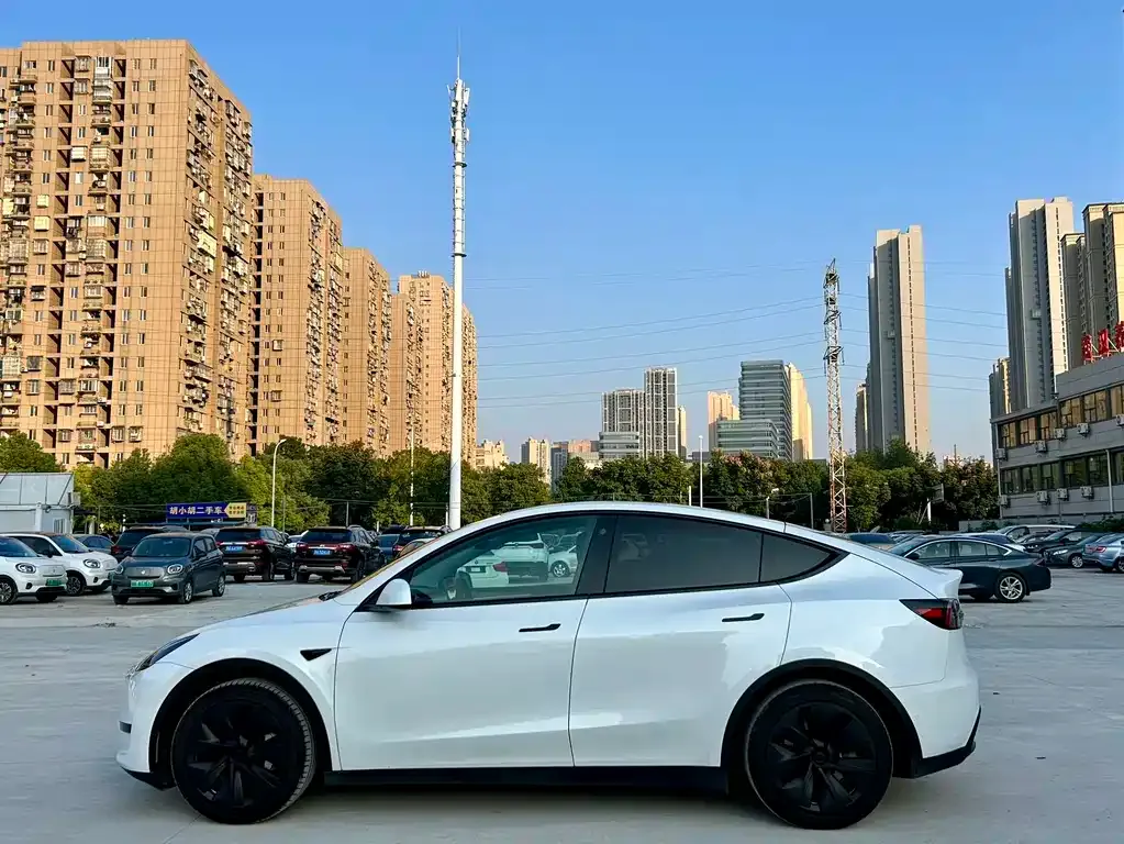 Tesla Model Y — фото 3