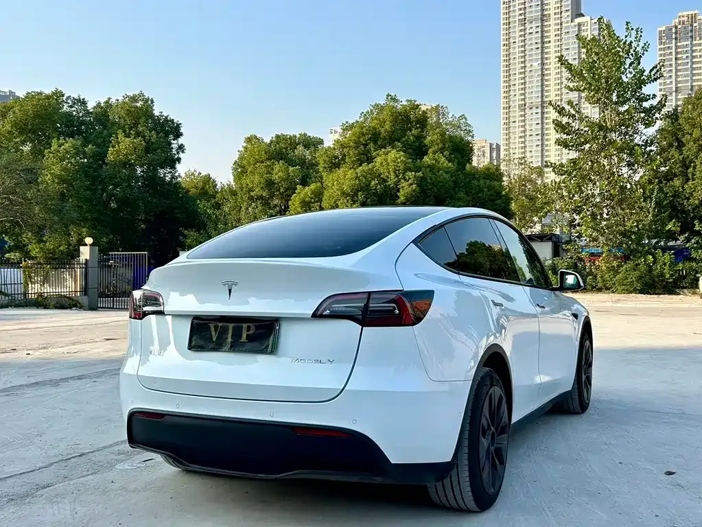 Tesla Model Y — фото 8