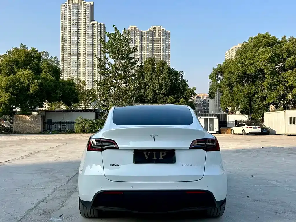 Tesla Model Y — фото 10
