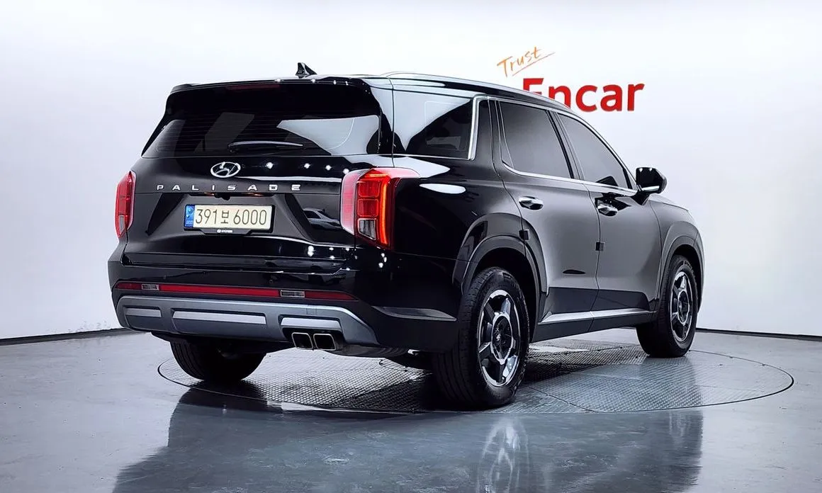 Hyundai Palisade — фото 8