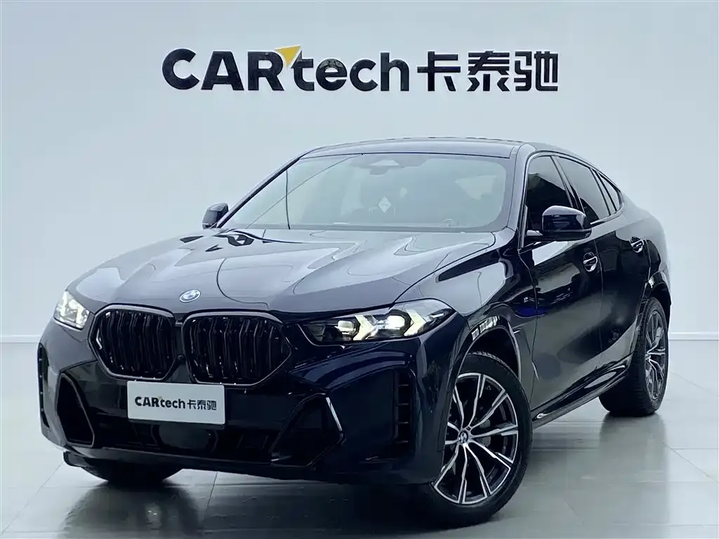 BMW X6 — фото 10