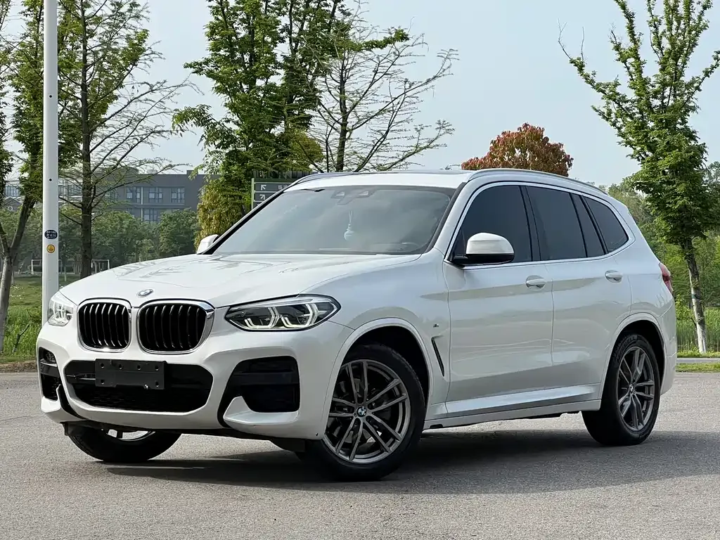 BMW X3 — фото 1