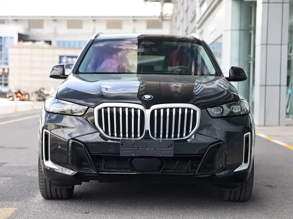 BMW X5 — фото 9