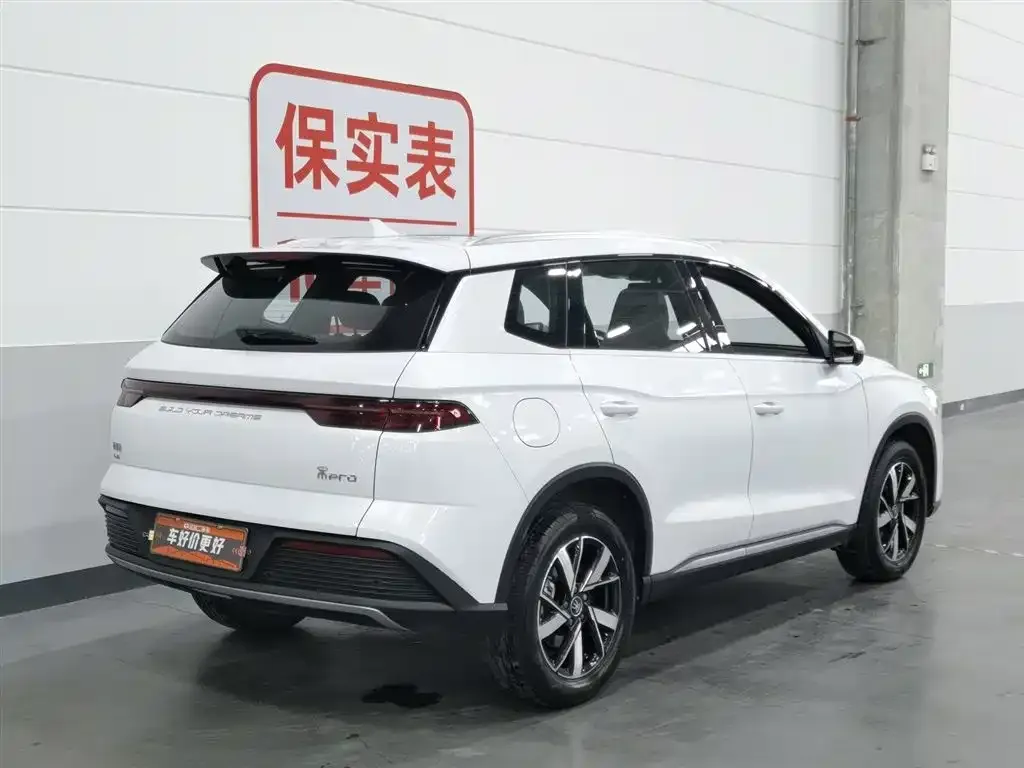 BYD Pro New Energy — фото 10
