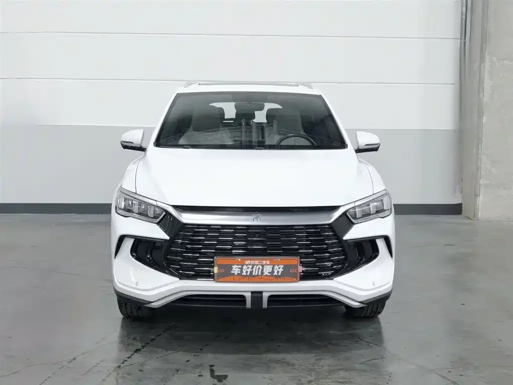 BYD Pro New Energy — фото 2