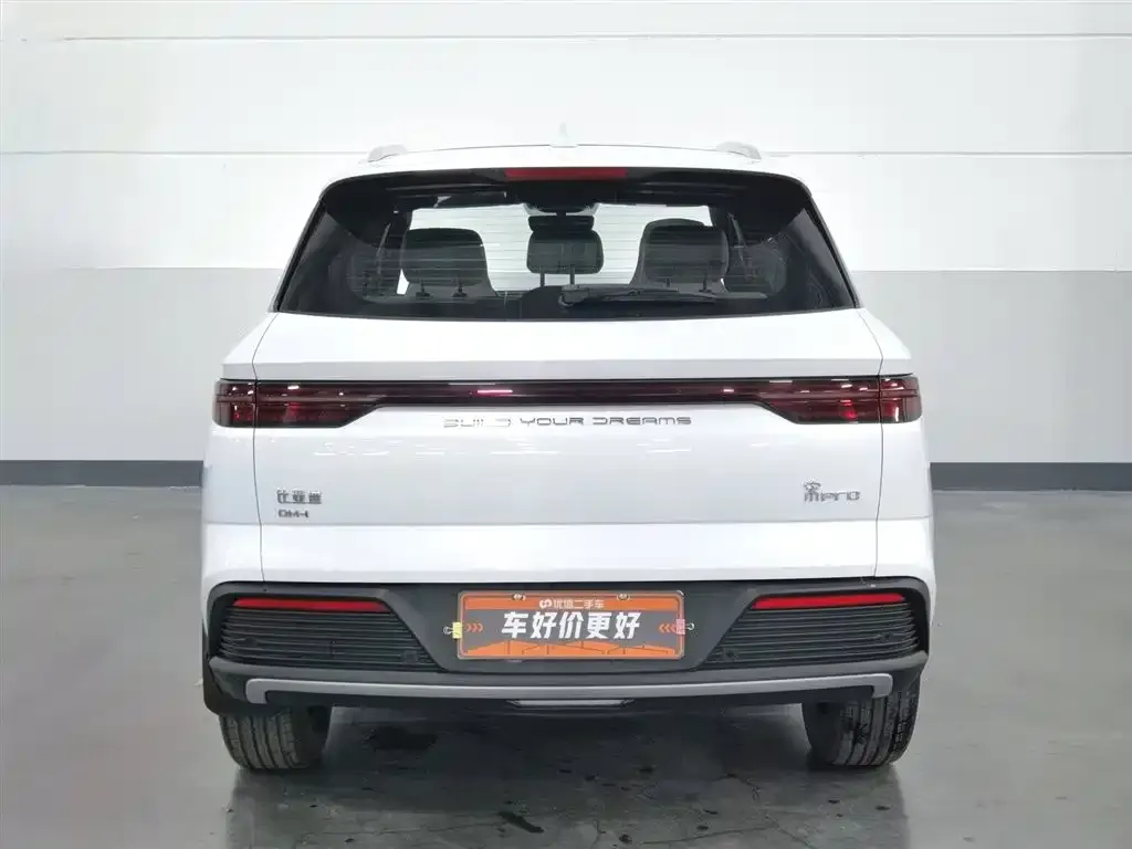 BYD Pro New Energy — фото 3