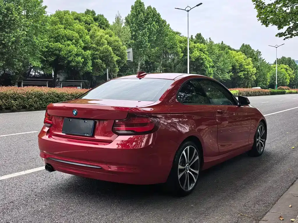 BMW 2 Series (Import) — фото 7
