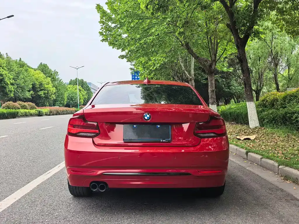 BMW 2 Series (Import) — фото 6