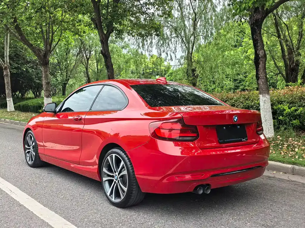 BMW 2 Series (Import) — фото 8