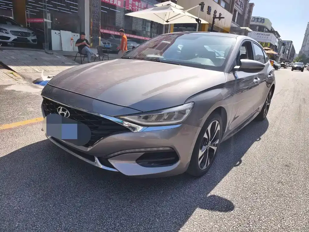 Hyundai Fista — фото 1