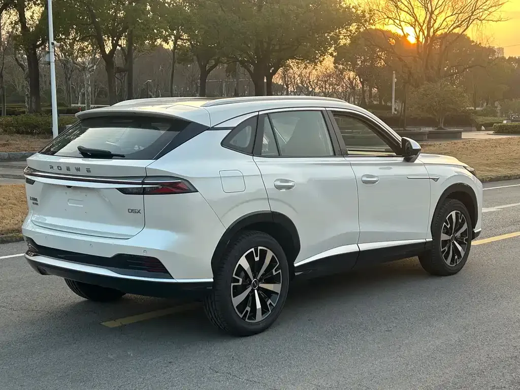 Roewe D5X DMH — фото 10