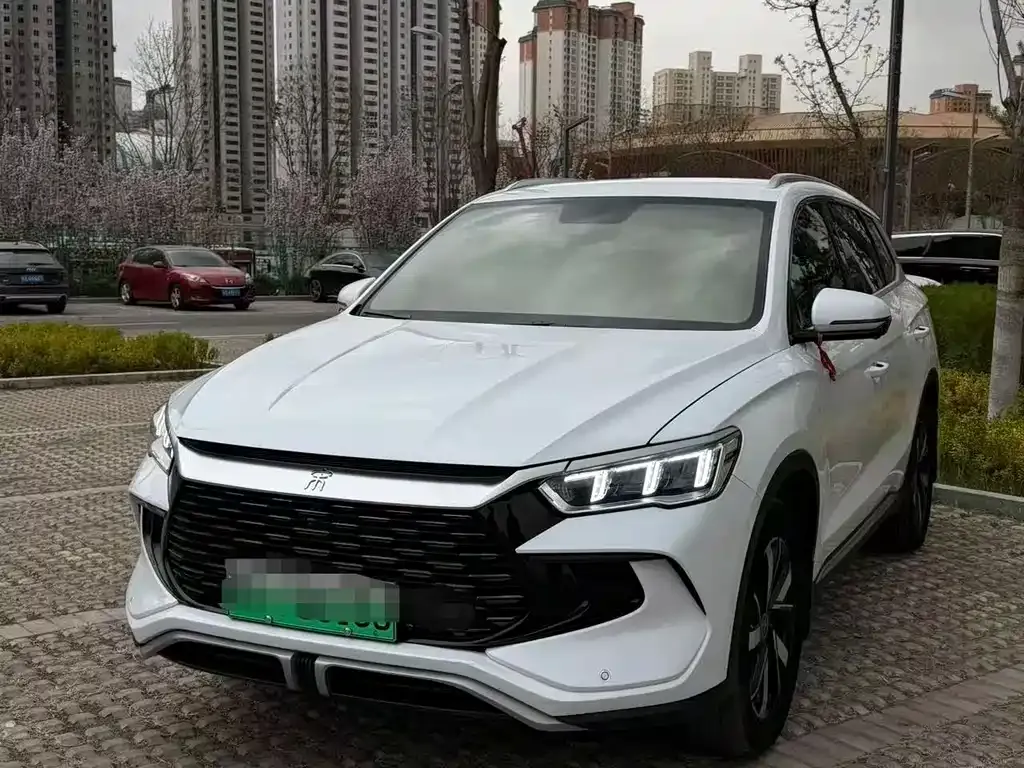 BYD Pro New Energy — фото 1