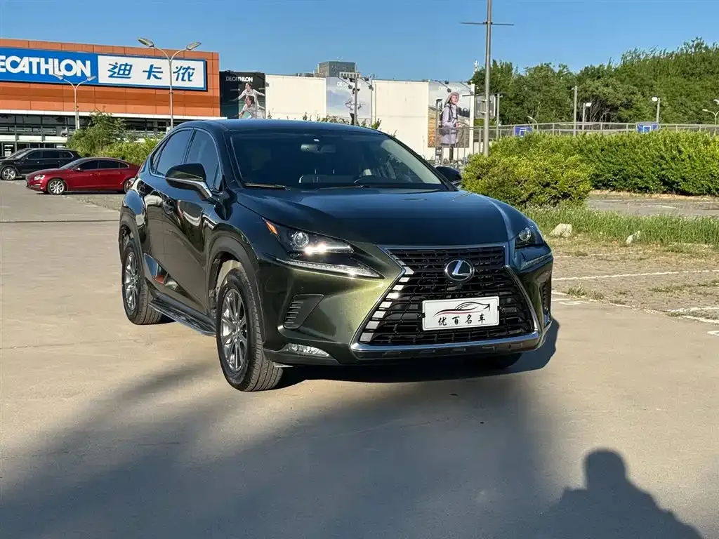 Lexus NX — фото 6