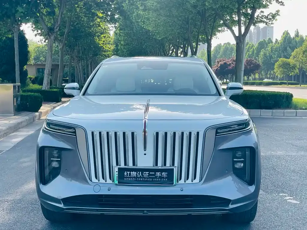 Hongqi E-HS9 — фото 6