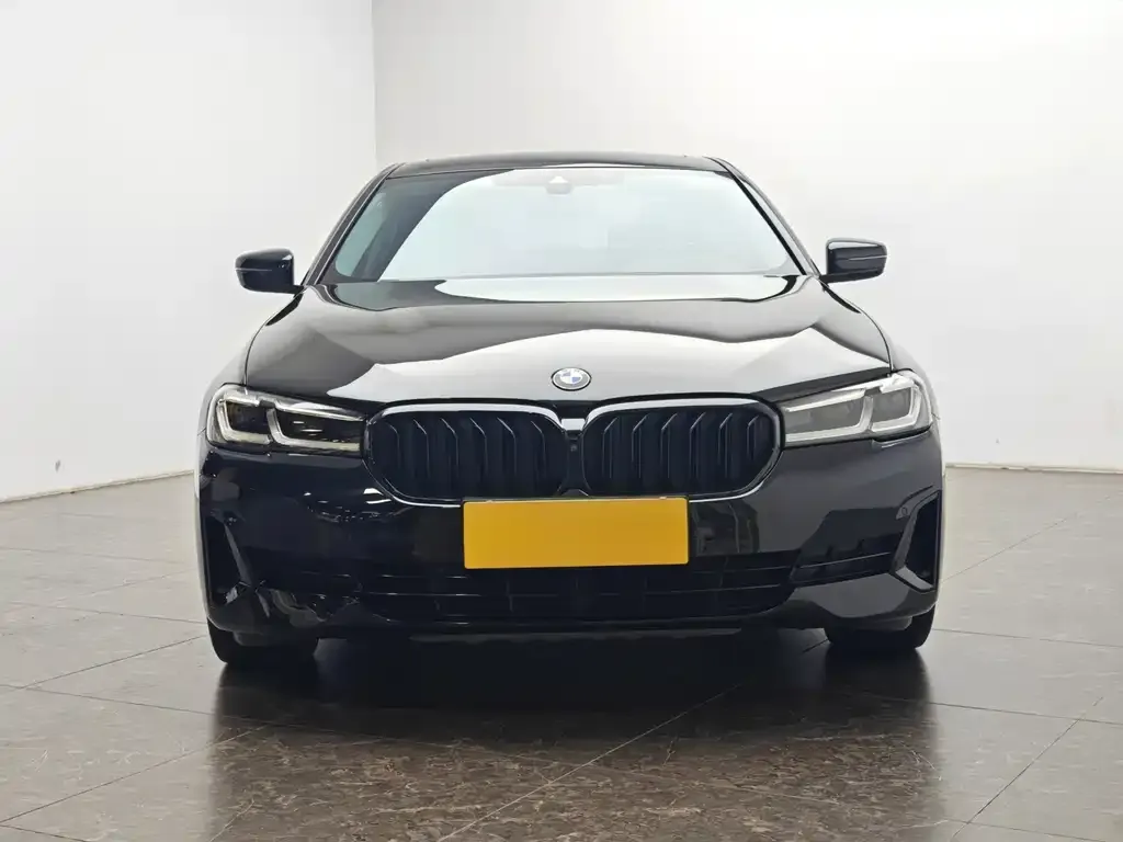 BMW 5 Series New Energy — фото 5