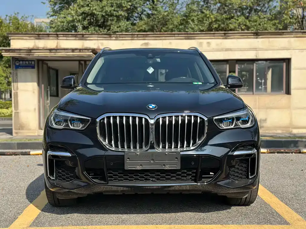 BMW X5 — фото 9