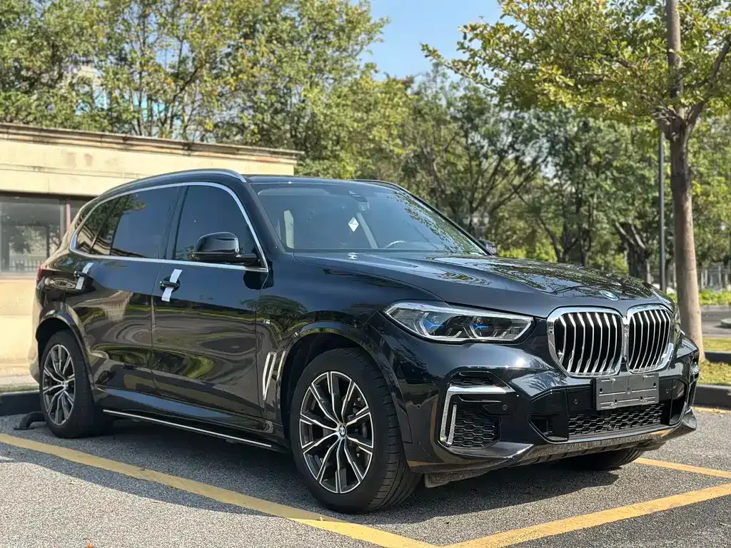 BMW X5 — фото 10