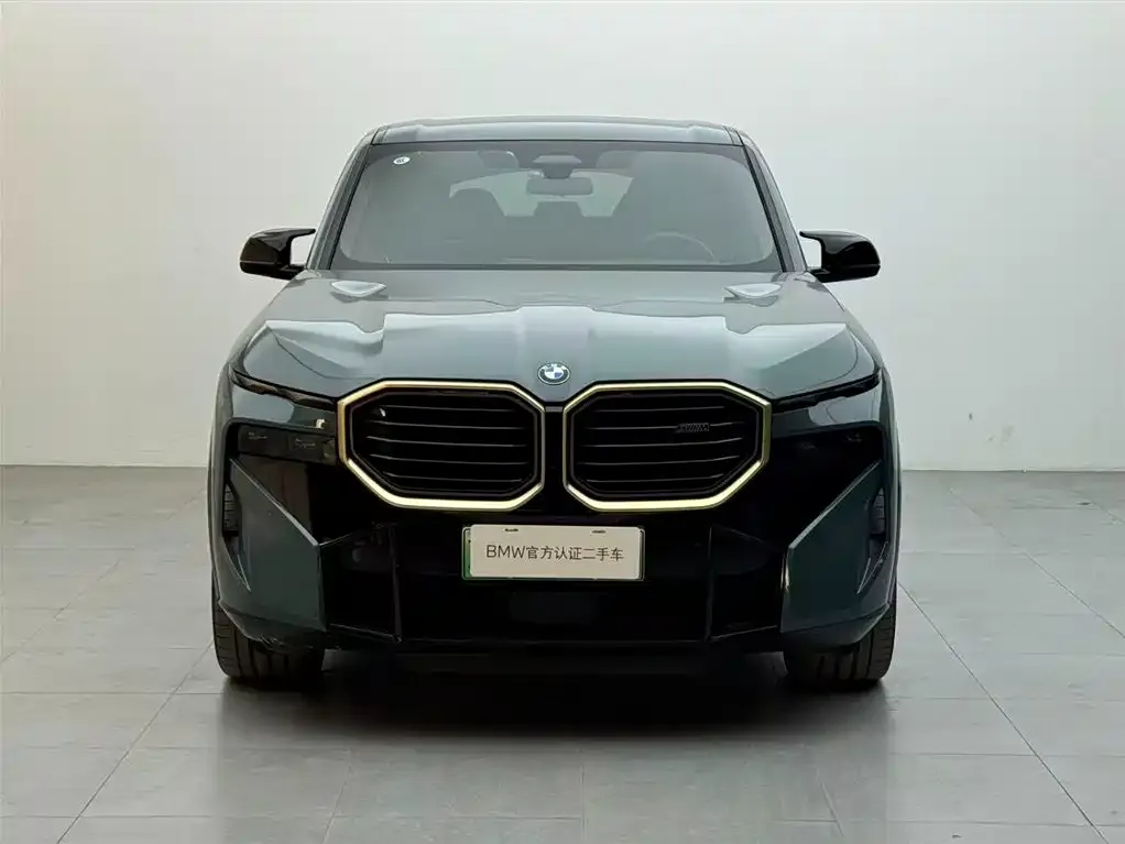 BMW XM — фото 5