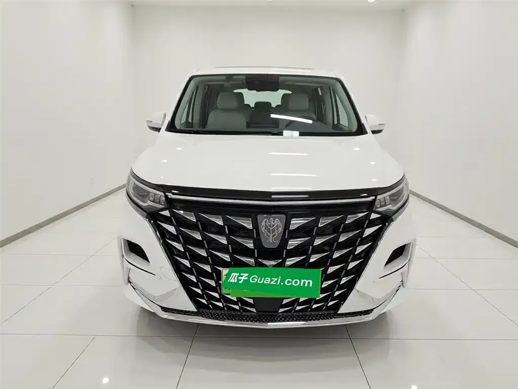 Roewe iMAX8 New Energy — фото 7