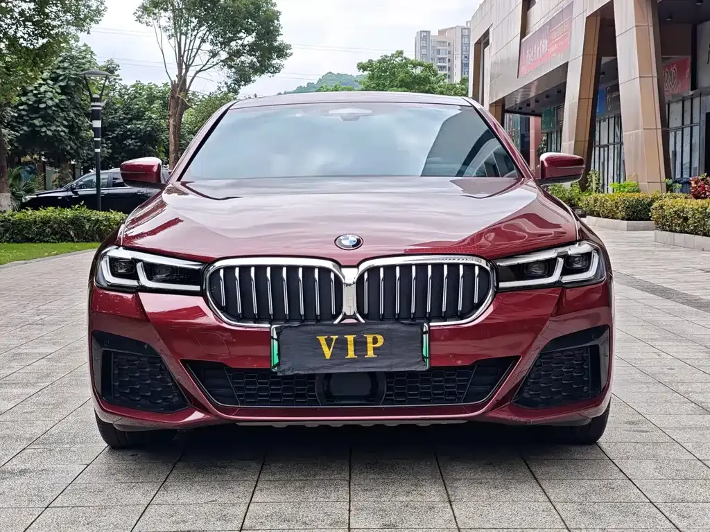BMW 5 Series New Energy — фото 6