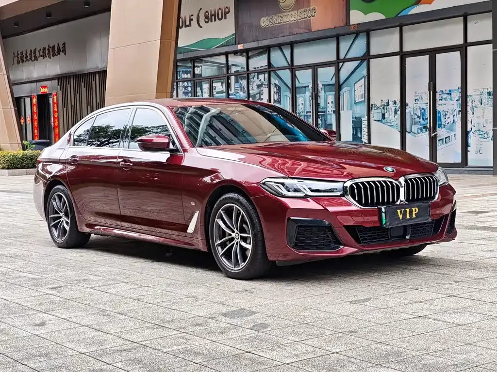BMW 5 Series New Energy — фото 7