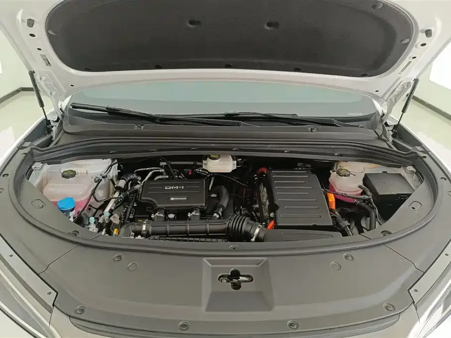 BYD L DM-i — фото 10