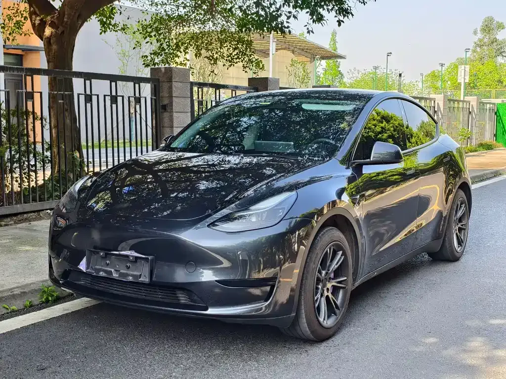 Tesla Model Y — фото 1