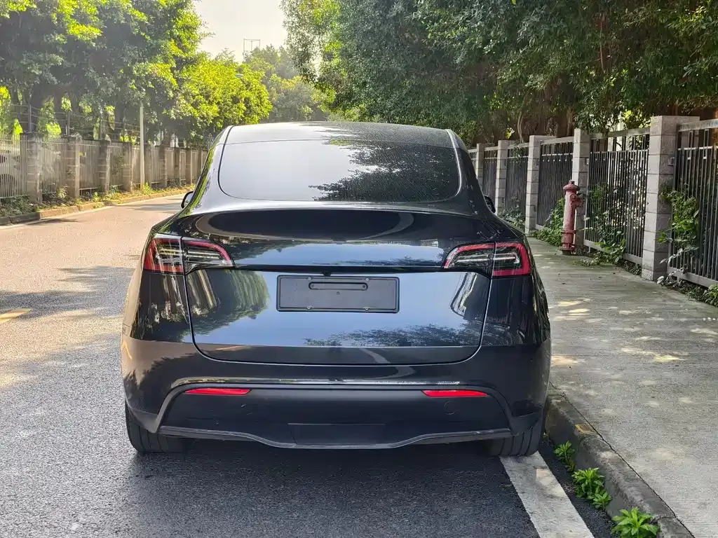 Tesla Model Y — фото 4
