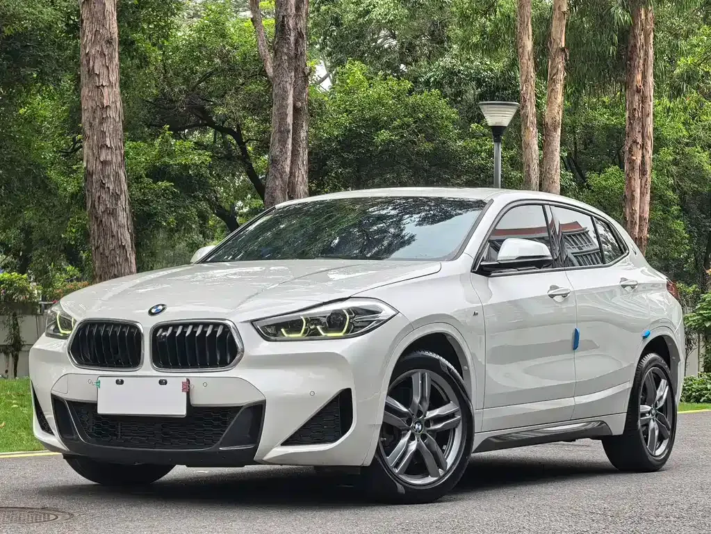 BMW X2 — фото 1