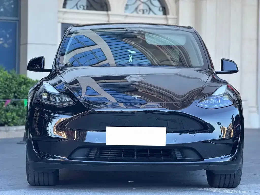 Tesla Model Y — фото 2