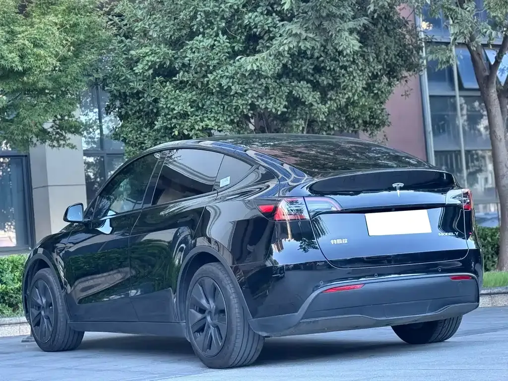 Tesla Model Y — фото 5
