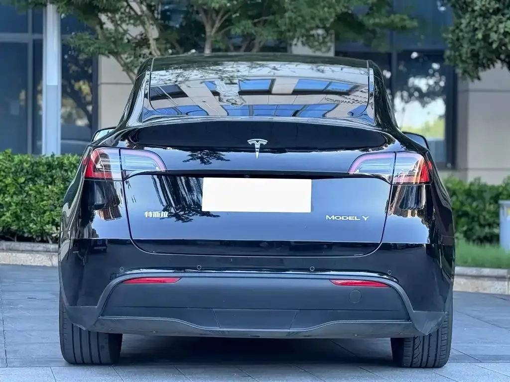 Tesla Model Y — фото 9