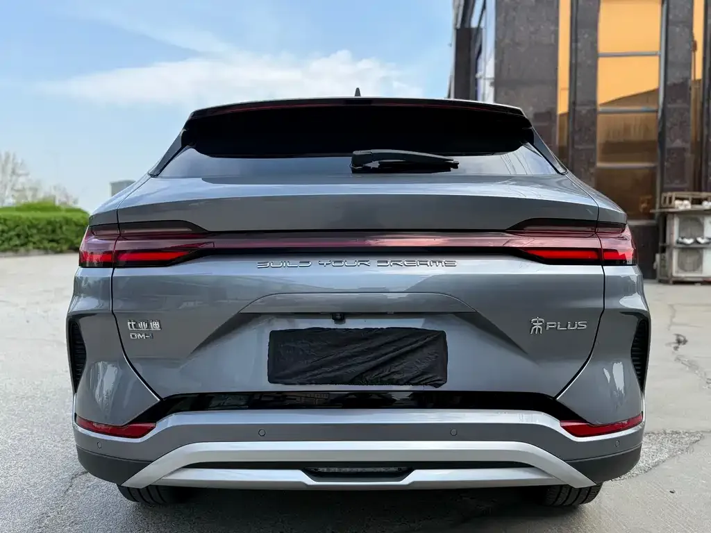 BYD PLUS New Energy — фото 4