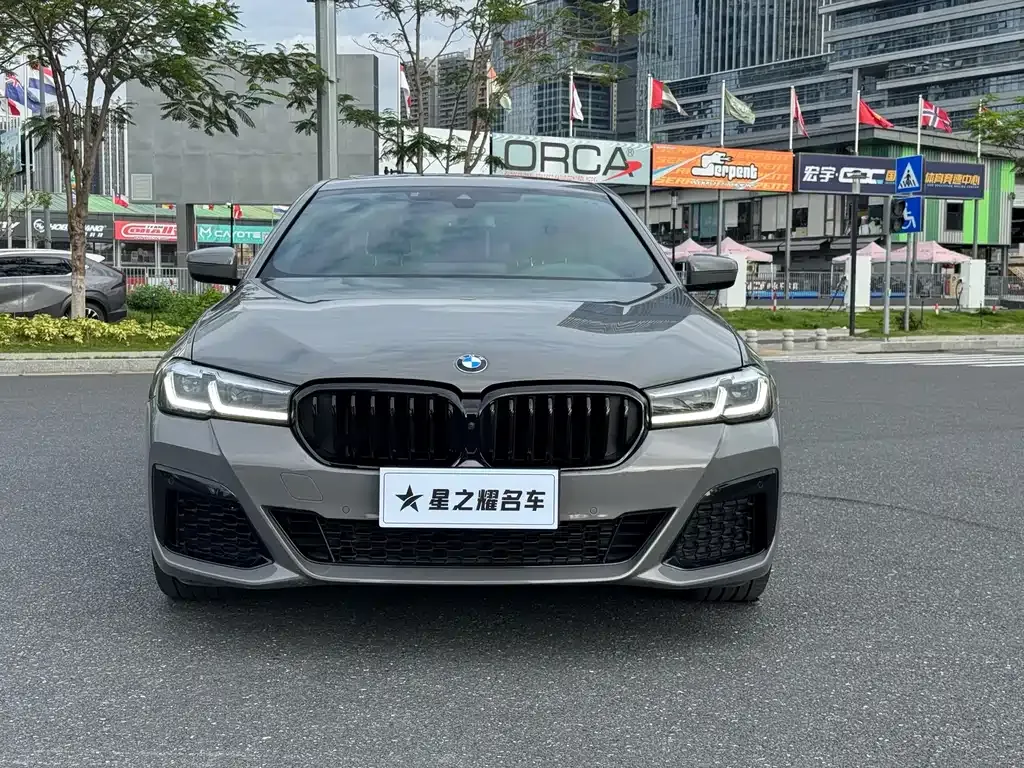 BMW 5 Series (Import) — фото 9