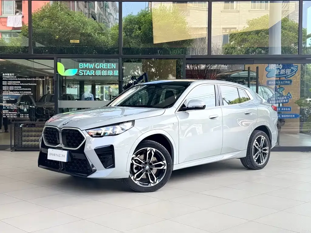 BMW X2 (Import) — фото 1