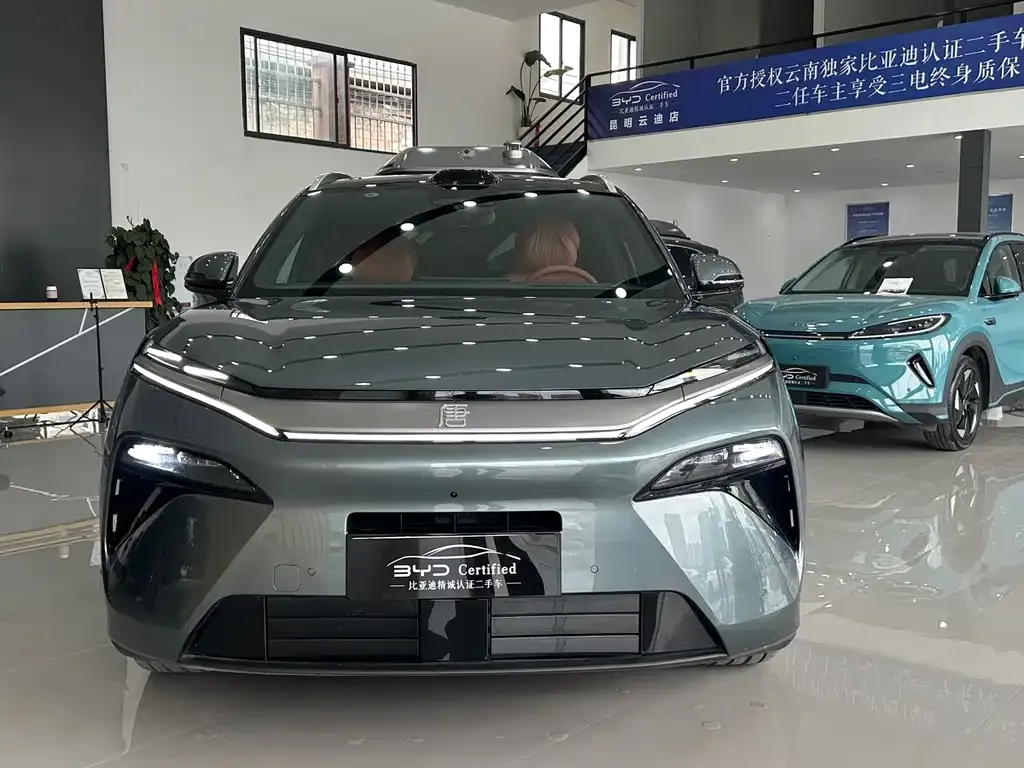 BYD Tang L — фото 4