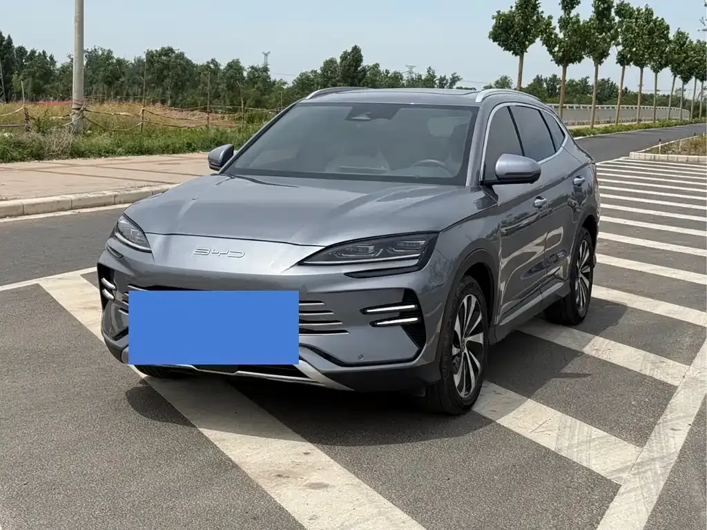 BYD PLUS New Energy — фото 1