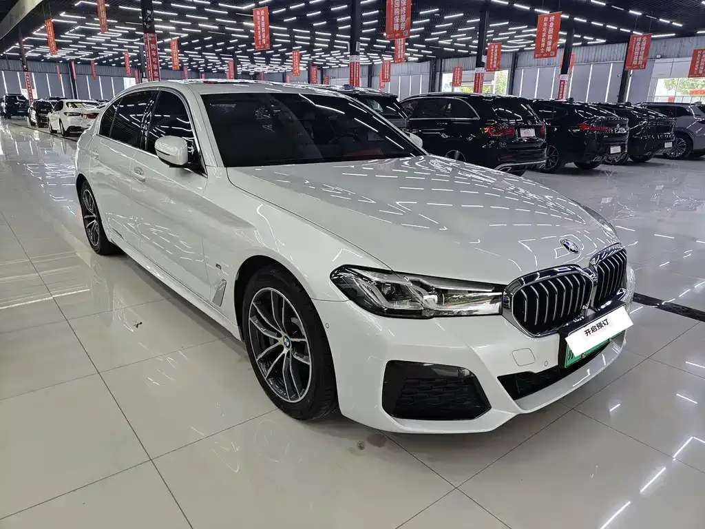 BMW 5 Series New Energy — фото 7