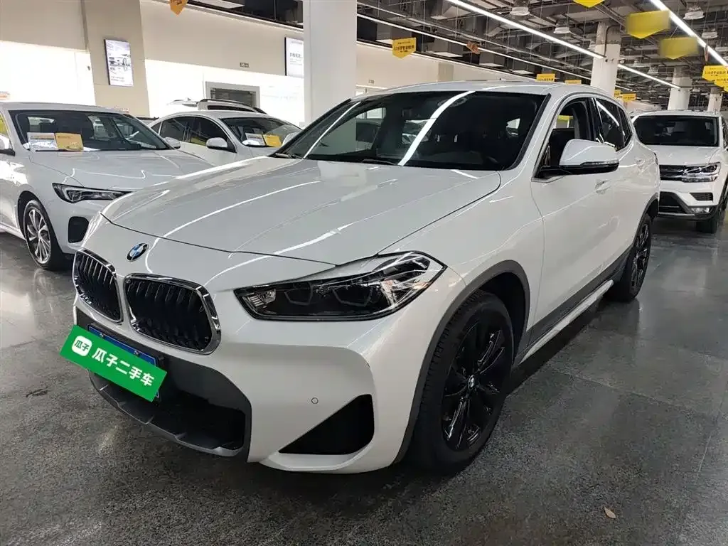 BMW X2 — фото 1