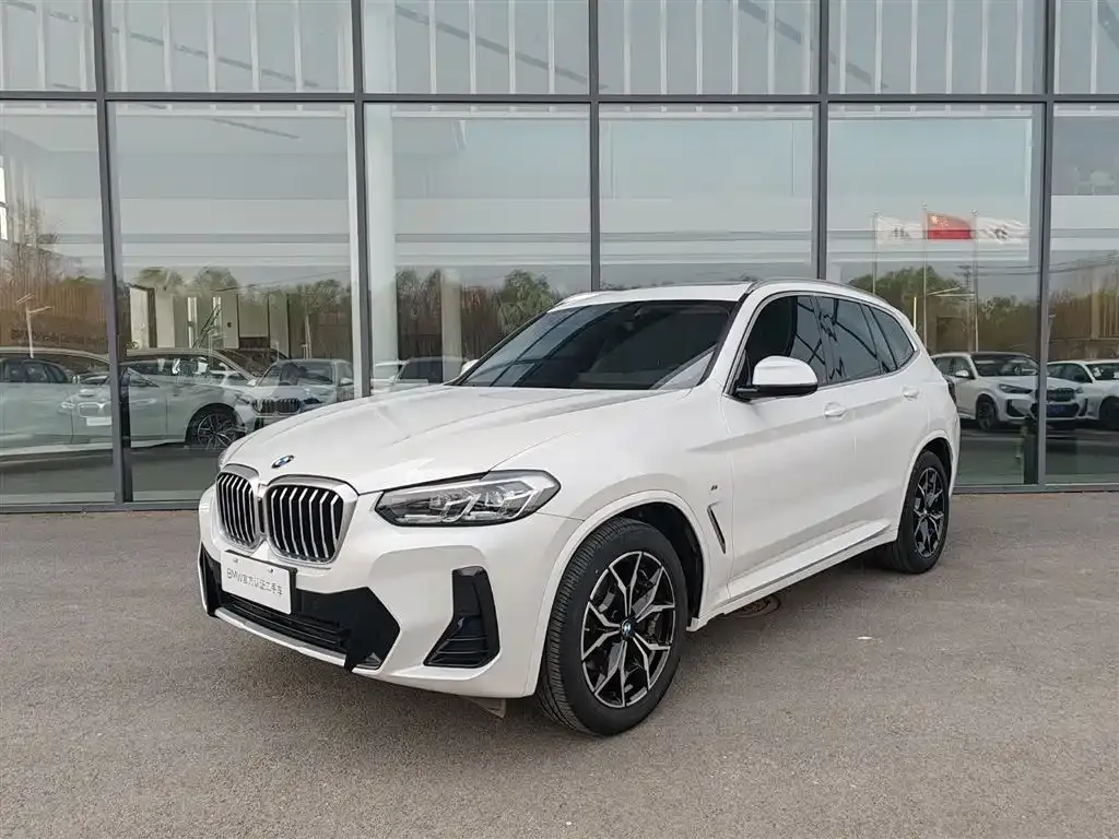 BMW X3 — фото 1