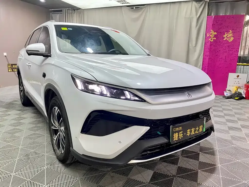 BYD Pro New Energy — фото 8